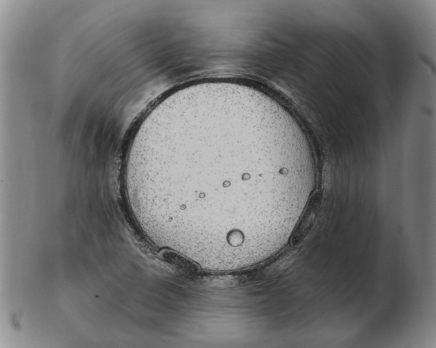 X0000102771410200809080954