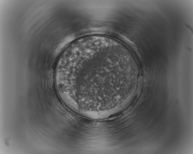 X0000102771411200809080954