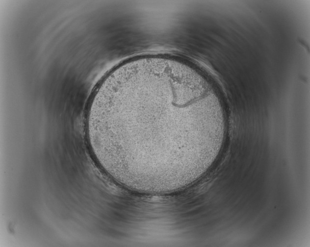 X0000102771412200809080954