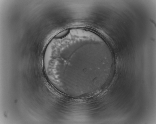 X0000102771413200809080954