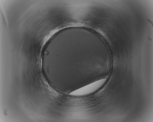 X0000102771414200809080954