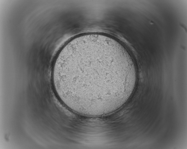 X0000102771416200809080954