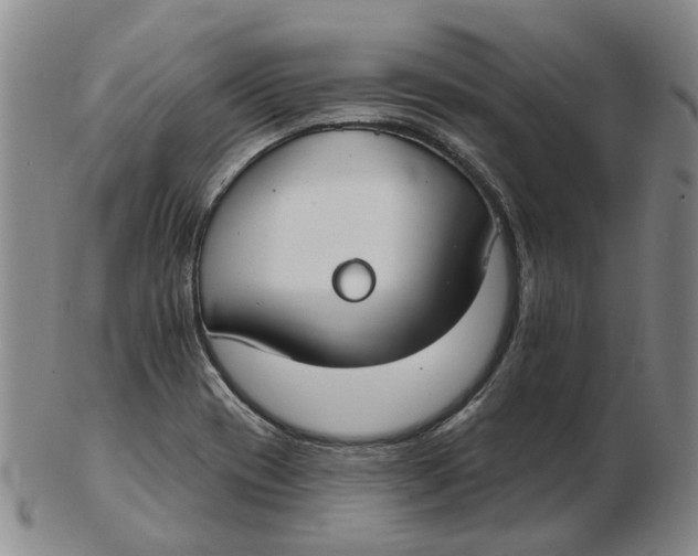 X0000102771417200809080954