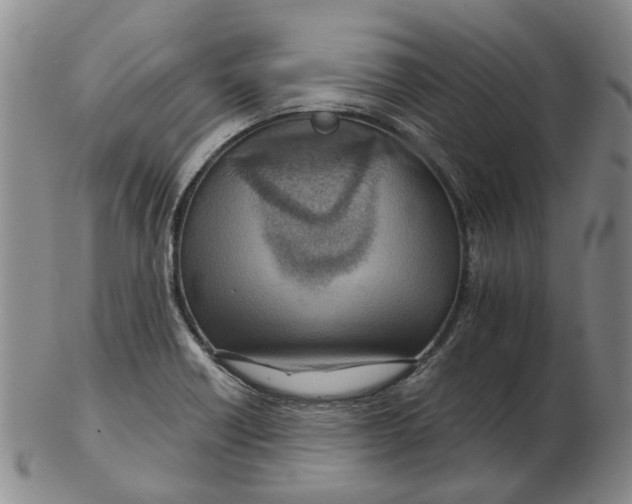 X0000102771418200809080954