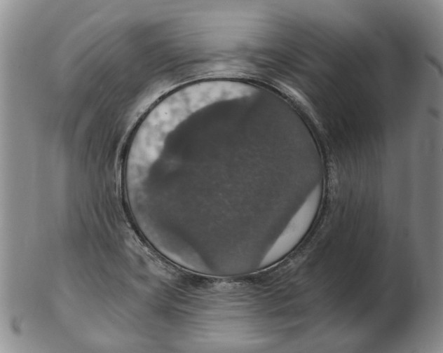 X0000102771419200809080954