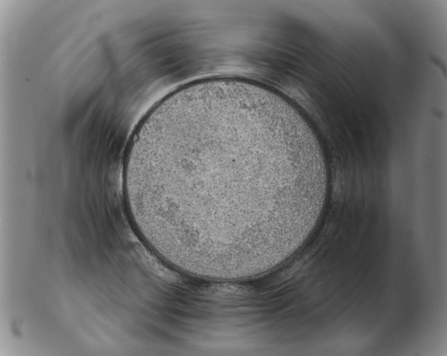 X0000102771420200809080954