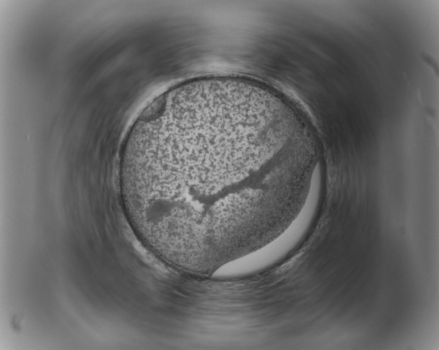 X0000102771421200809080954