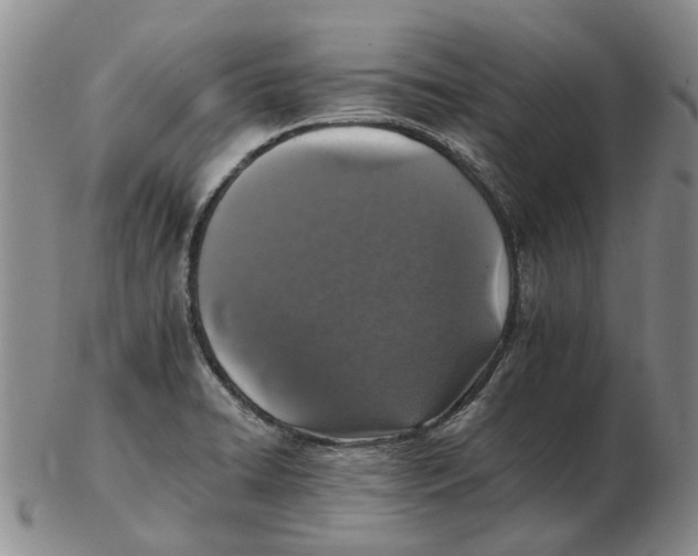 X0000102771422200809080954