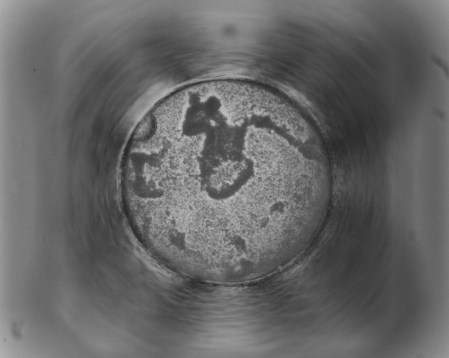 X0000102771423200809080954