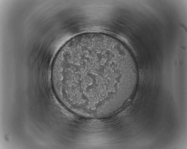 X0000102771424200809080954