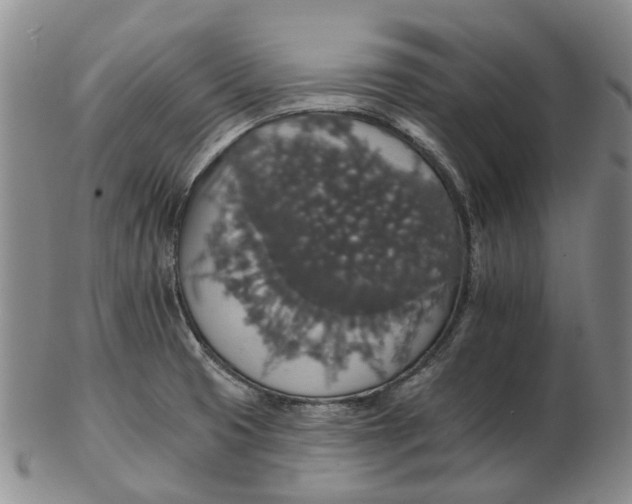 X0000102771425200809080954