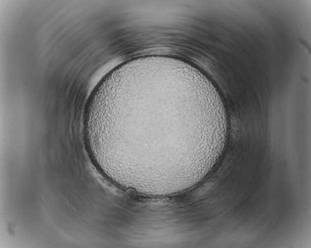 X0000102771426200809080954