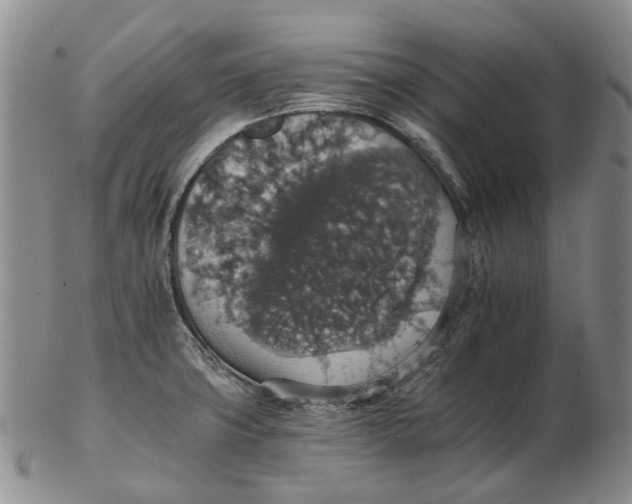 X0000102771427200809080954