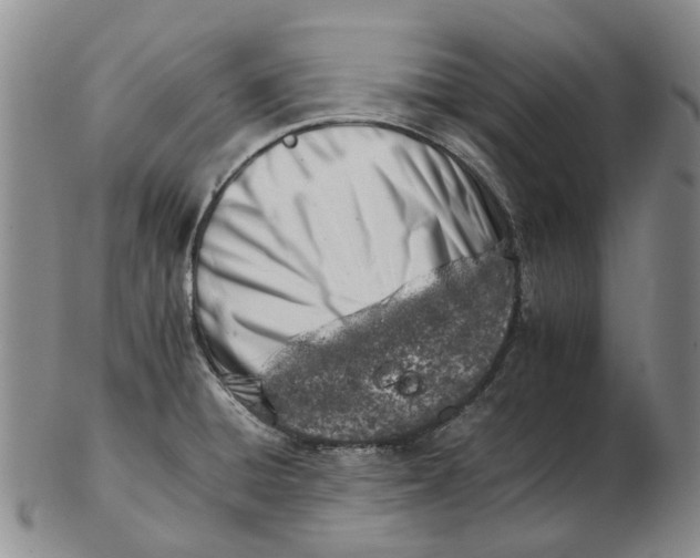 X0000102771428200809080954