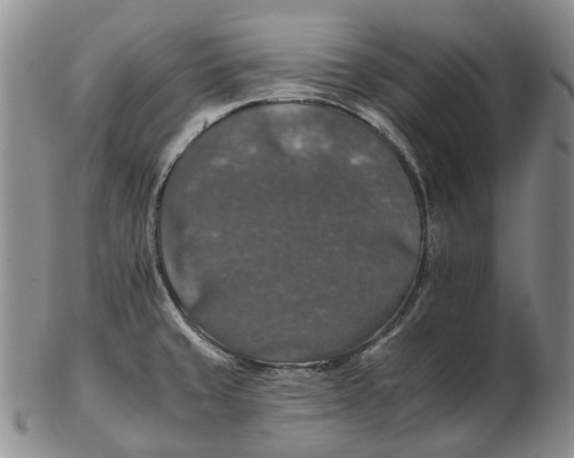 X0000102771429200809080954