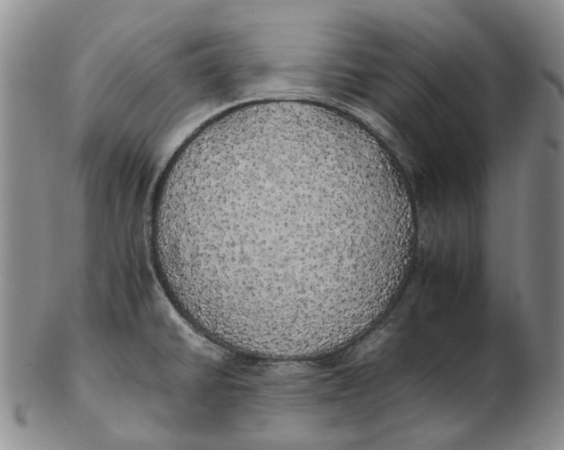 X0000102771430200809080954