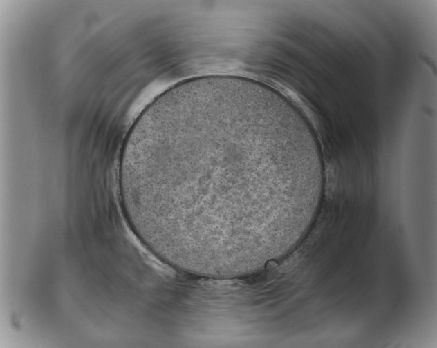 X0000102771432200809080954