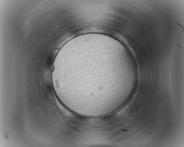 X0000102771433200809080954