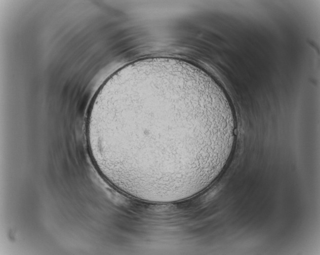 X0000102771434200809080954