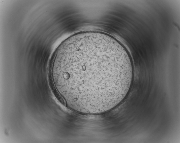 X0000102771437200809080954