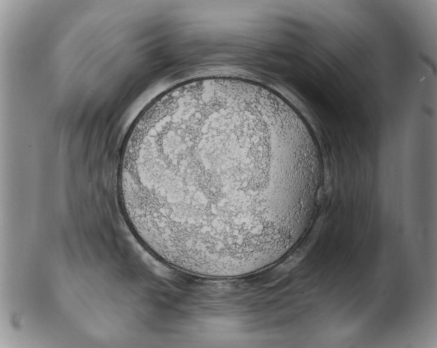 X0000102771438200809080954