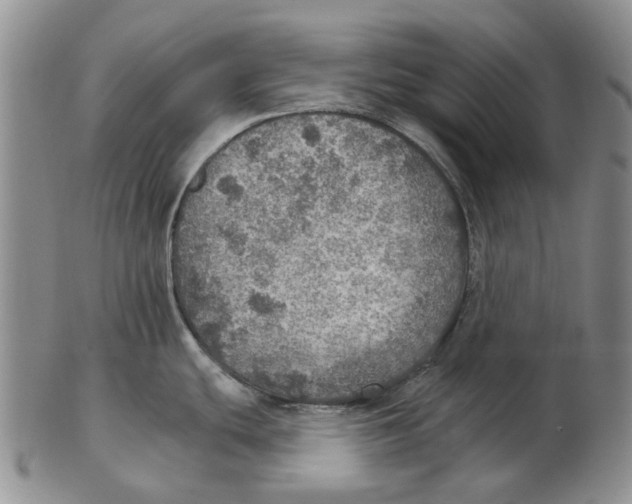 X0000102771439200809080954