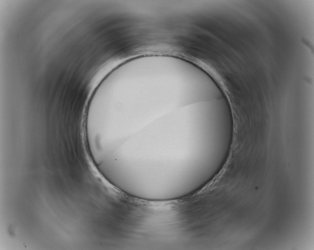 X0000102771440200809080954