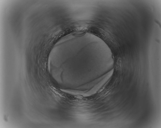 X0000102771441200809080953