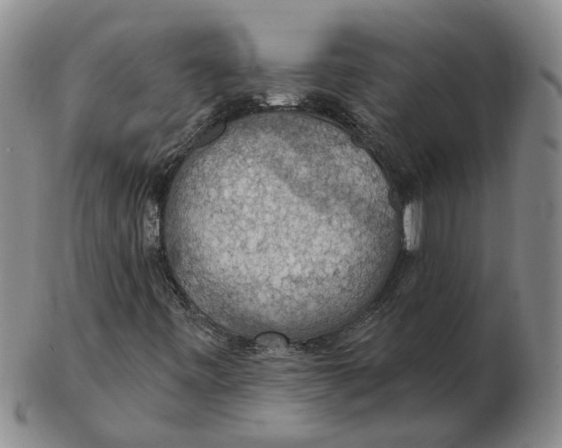 X0000102771443200809080953