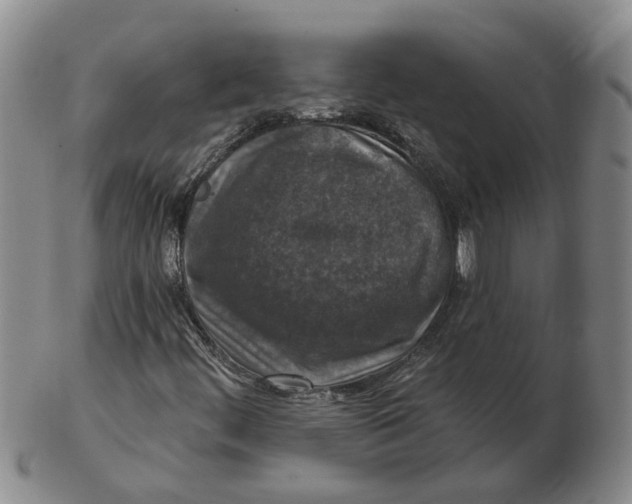 X0000102771444200809080953