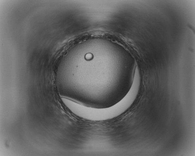 X0000102771445200809080953