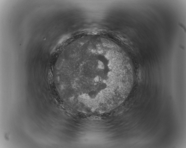 X0000102771446200809080953