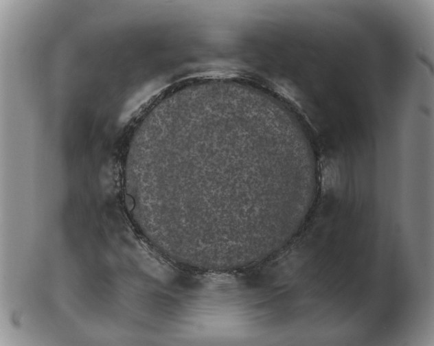 X0000102771448200809080953