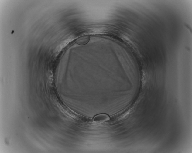 X0000102771449200809080953