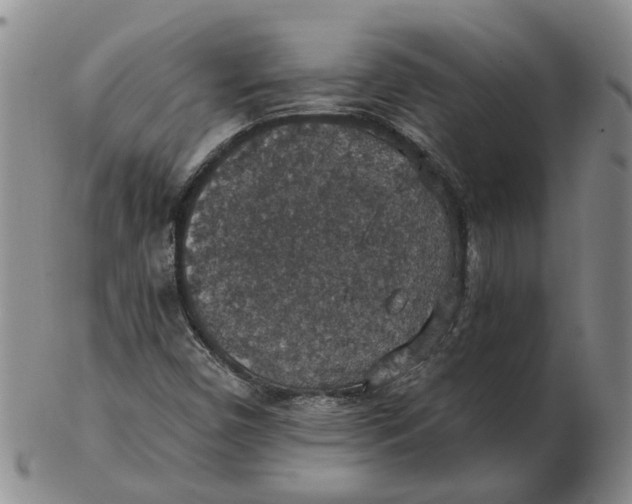 X0000102771450200809080953