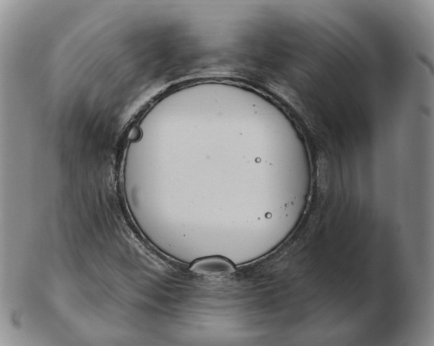 X0000102771452200809080953