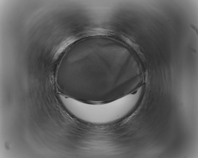 X0000102771453200809080953