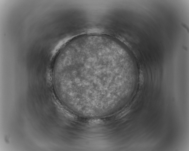 X0000102771454200809080953