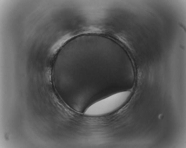 X0000102771455200809080953