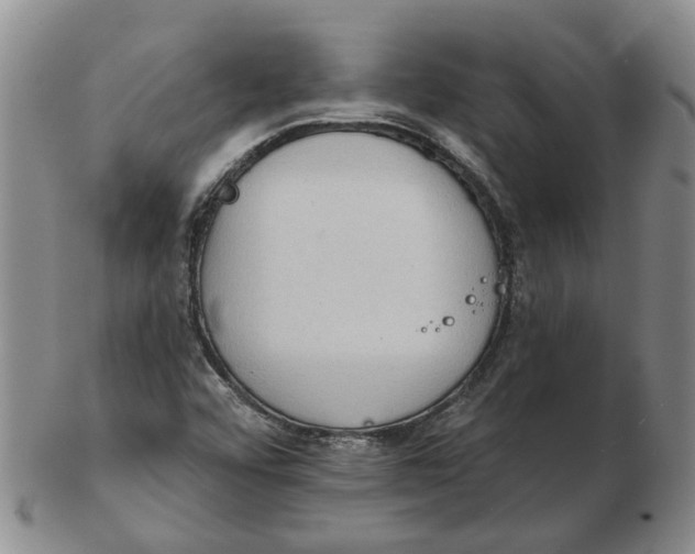 X0000102771456200809080953