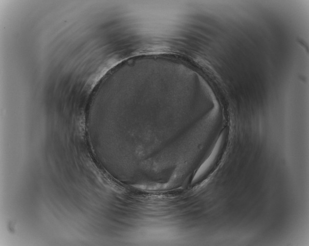 X0000102771457200809080953