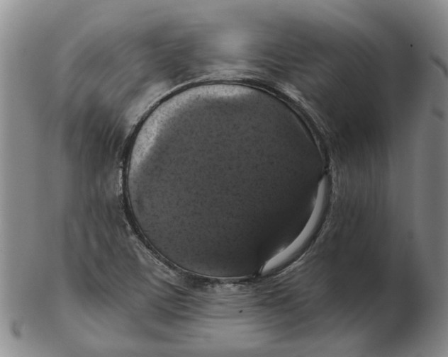 X0000102771459200809080953