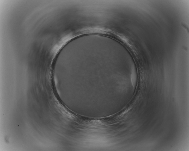 X0000102771463200809080953