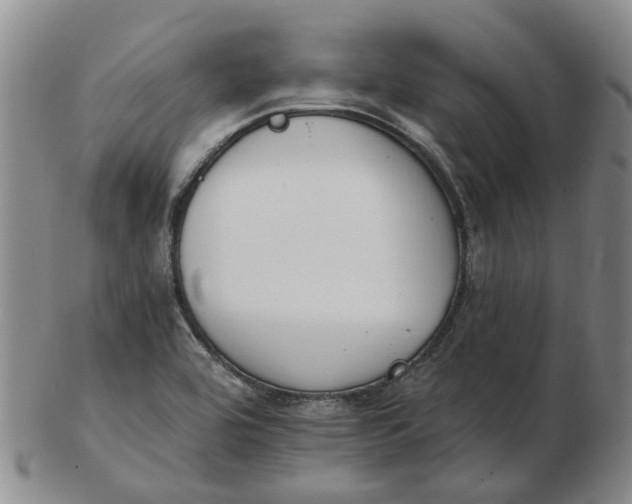 X0000102771464200809080953