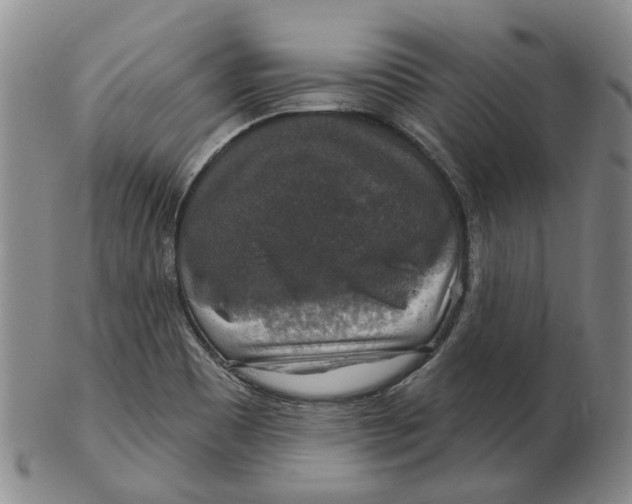 X0000102771465200809080953