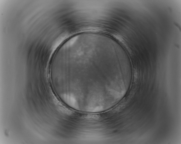 X0000102771466200809080953