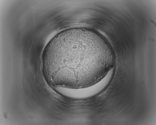 X0000102771467200809080953