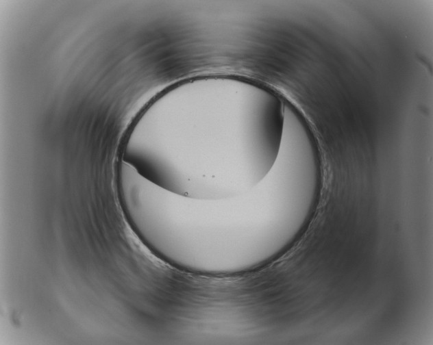 X0000102771468200809080953