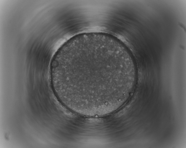 X0000102771469200809080953