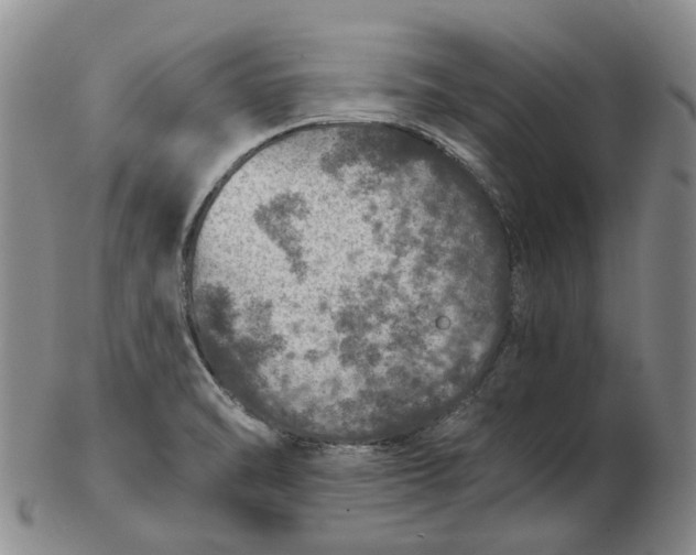 X0000102771470200809080953